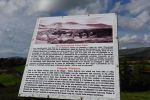 PICTURES/Everything That Did Not Fit Anywhere Else/t_DSC05298.JPG